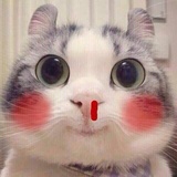 蛮仔铁头