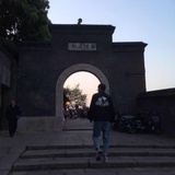 法律杨