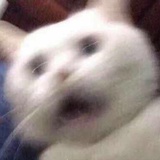 ""