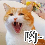 妲善德姿笋