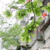 要有太阳