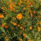 身心健康最重要