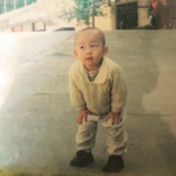 愿望树