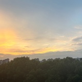 东野小弟