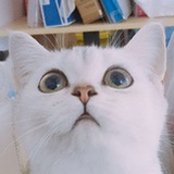 早睡第二名 💅