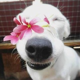 王啊璐gogogo