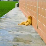 水冗
