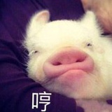 小梅阿梅