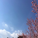 赵相军