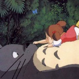 面纱