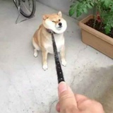 于文杰