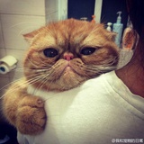 西西瓜