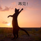 巴啦啦能量！
