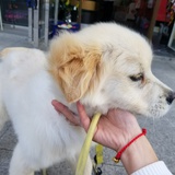 敏敏快来削我