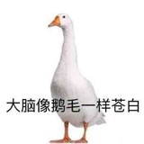 一棵小树