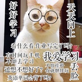 为十八线歌手疯