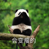 心升明月