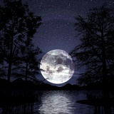 夜空中的美