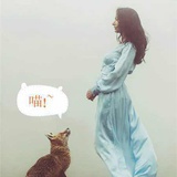 掩耳的Qin