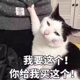 李安羽