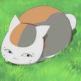 努力的颓废青年