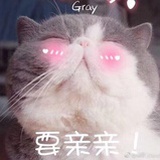 区可
