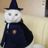 sorcerer
