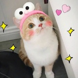 不然就去吃火锅