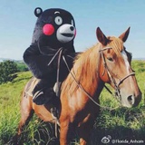 红鲤鱼与绿鲤鱼