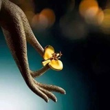 云水禅心
