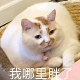 夜游神