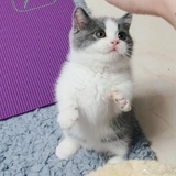 Labby