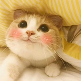 大白兔