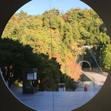 王潇