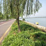 日月明
