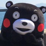 狸猫是猪