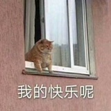 浾