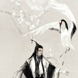 羽