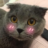 今天也要逆袭呀