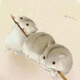木木