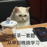酷儿