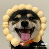 这里有个小一灰