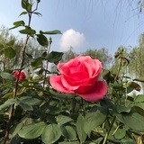 乐活陕西