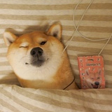 ~