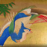 水獭