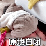 我也不知道