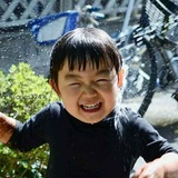 南瓜载来