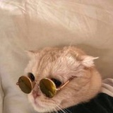 可乐里的咖啡因