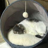 不吃你这套