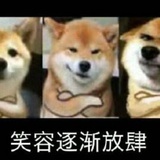 反猫复狗大教主